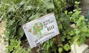 銀座ミツバチプロジェクト：ミツバチ博士ふくちゃんと、銀座の養蜂所を見学しました！